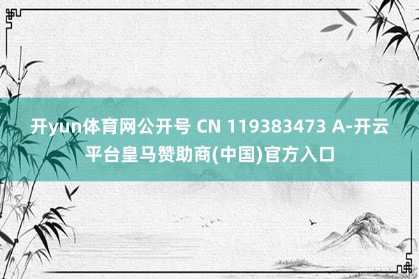 开yun体育网公开号 CN 119383473 A-开云平台皇马赞助商(中国)官方入口
