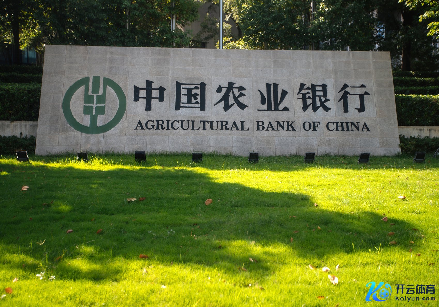 图片开首：逐日经济新闻 杨建 摄