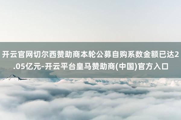开云官网切尔西赞助商本轮公募自购系数金额已达2.05亿元-开云平台皇马赞助商(中国)官方入口