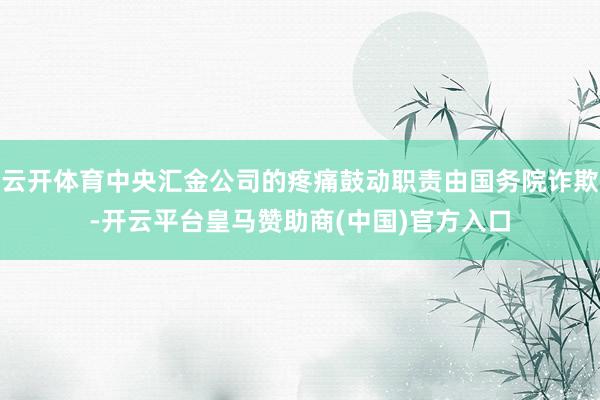 云开体育中央汇金公司的疼痛鼓动职责由国务院诈欺-开云平台皇马赞助商(中国)官方入口