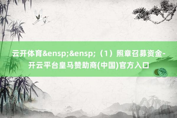 云开体育&ensp;&ensp;（1）照章召募资金-开云平台皇马赞助商(中国)官方入口