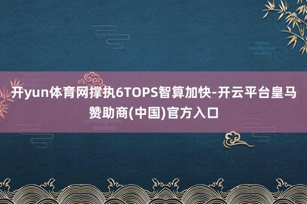 开yun体育网撑执6TOPS智算加快-开云平台皇马赞助商(中国)官方入口